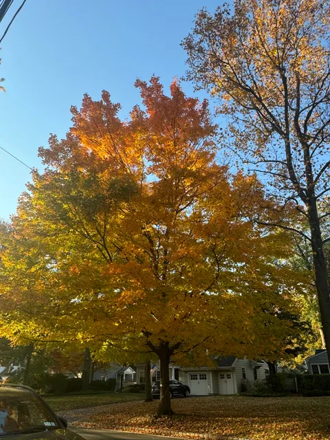 Summit Oaks Hospital