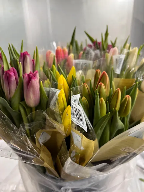 La Flor by ANIC Trading