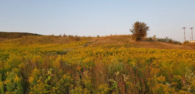 Etobicoke Creek Trail
