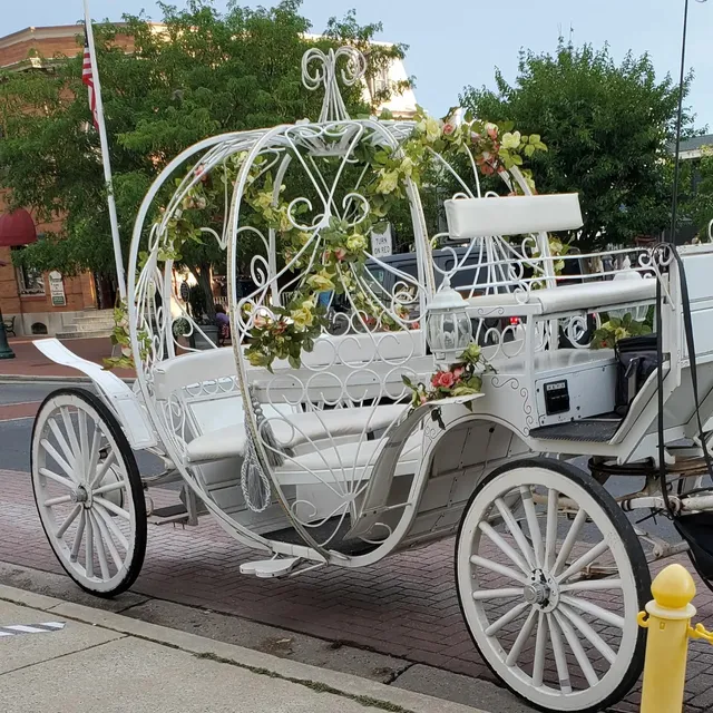 Cape May Carriage Co.