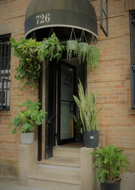 Baezas Flowers and Decorations