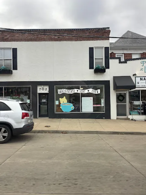 Baristocats Cat Cafe