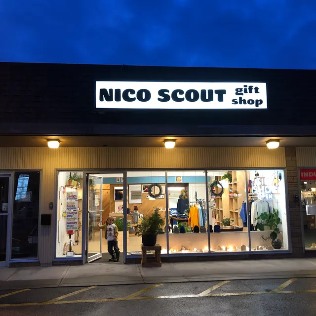 Nico Scout