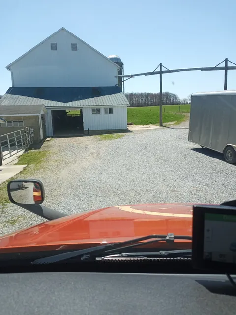 Levi's Lawn Furniture