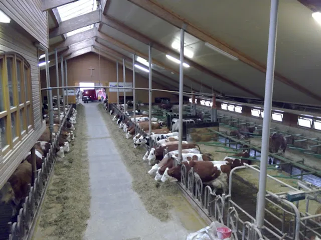 Kuhstallcafe Illkofen - Familie Schmaußer