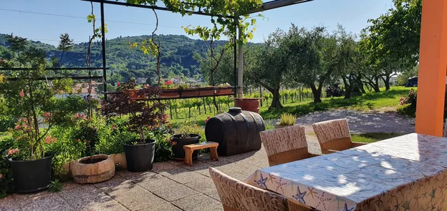 Apartma Nana Strunjan