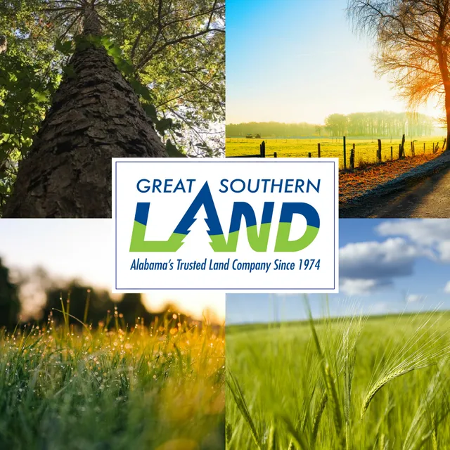 Great Southern Land LLC