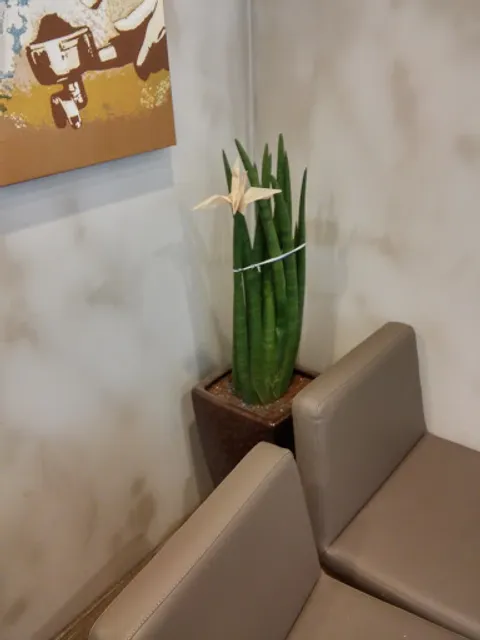 이디야 진해석동점