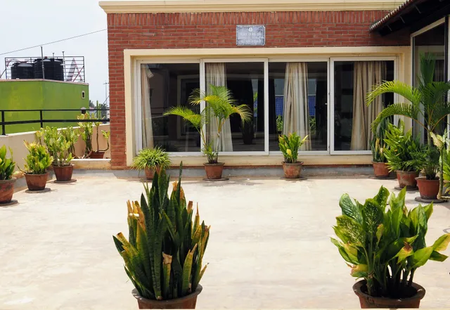 Transtree Whitefield