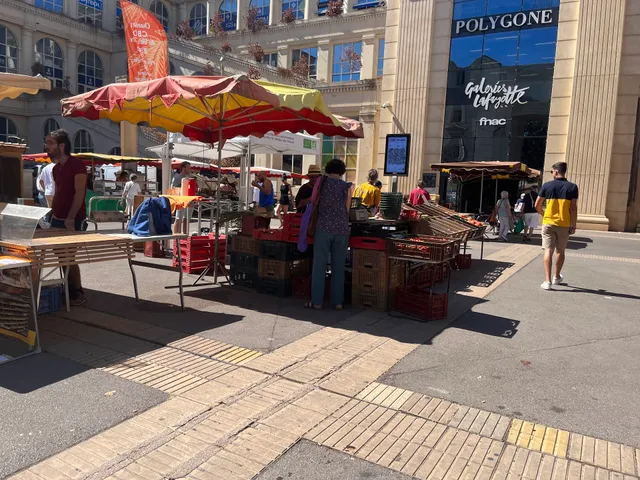 The farmer's market Antigone