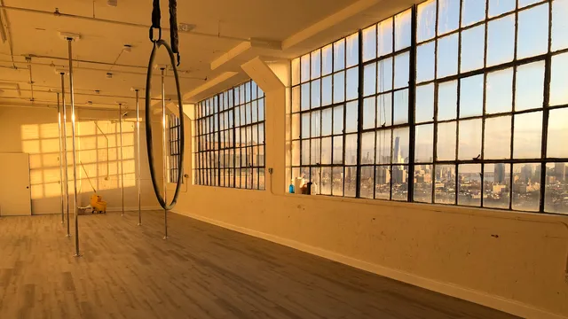 Lovely Lioness Pole Dance & Aerial Fitness