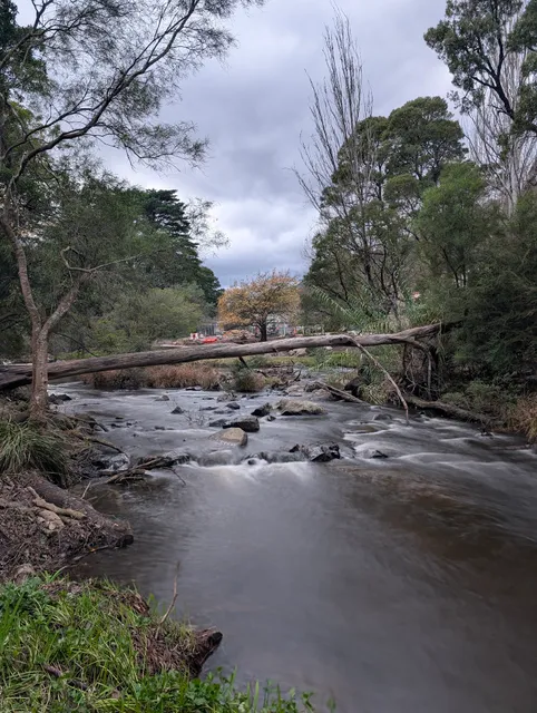 Warburton river side