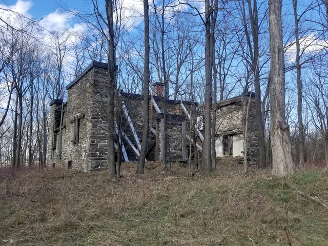 Colden Mansion Ruins