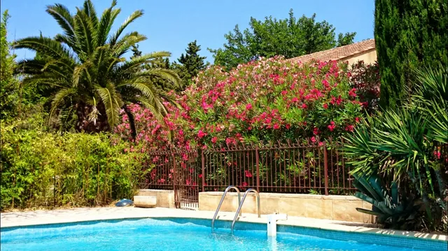 location vacances Maussane les alpilles