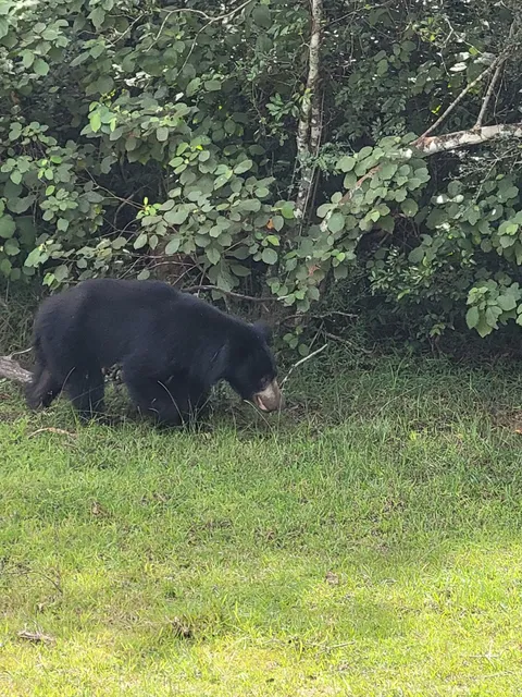 Wilpattu national park entrance - Hunuwilagama
