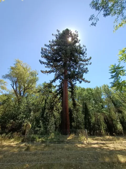 Entrada Finca "la losa"