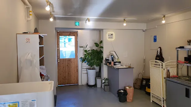 그날의중식,볶다