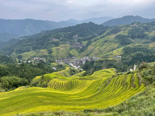 龙脊梯田