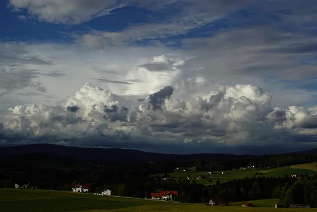Ferienwohnung Renate Holecek