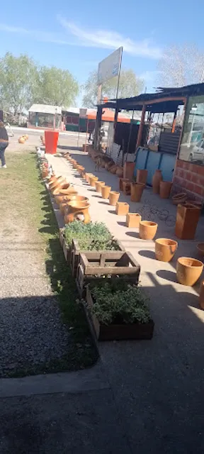 la estancia de Verónica