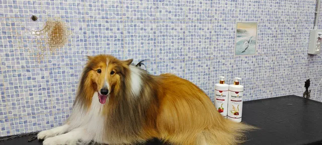 Aries biopetcosmetic