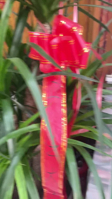 Town Home Restaurant