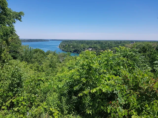 Belvedere Elizabeth Queen