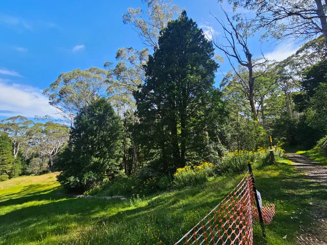 Mount Donna Buang Toboggan Runs
