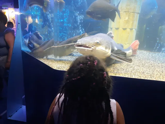 Staroshcherbinovskaya