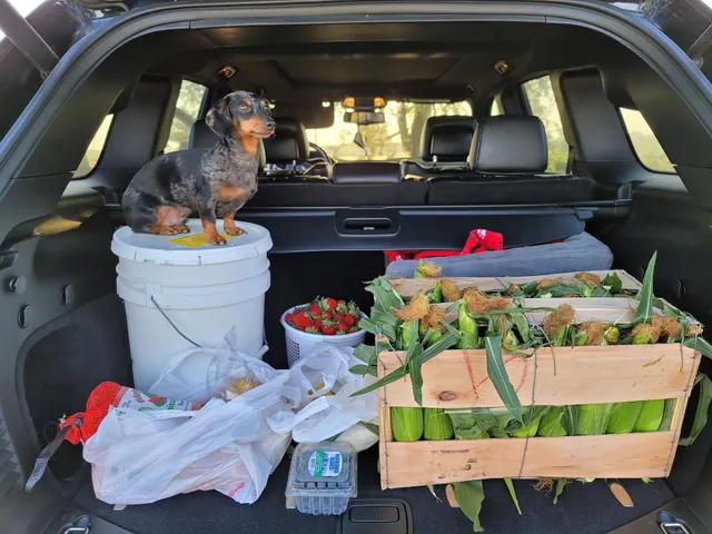 Charlie's U-Pik - Lucedale