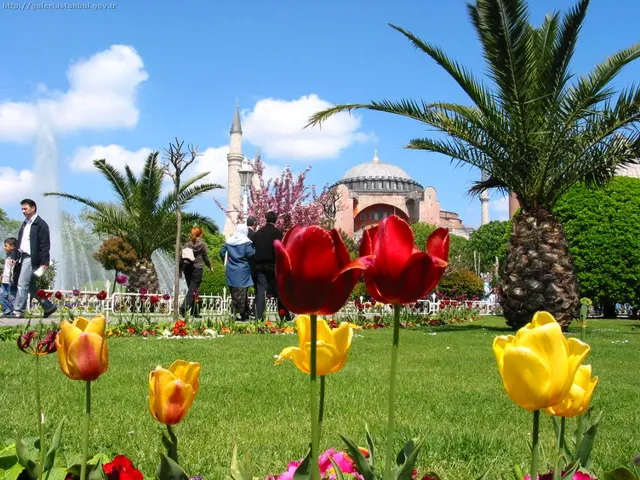Istanbul Tours, Bosphorus Cruise Tour, Istanbul City Tour