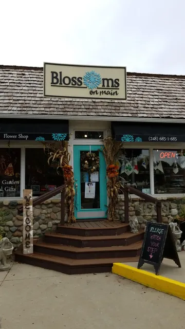 Blossoms On Main