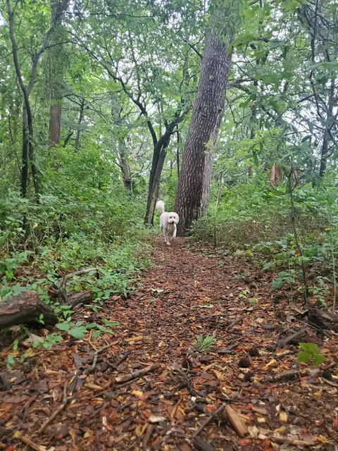 Lombardee Community Beach/Boat Launch