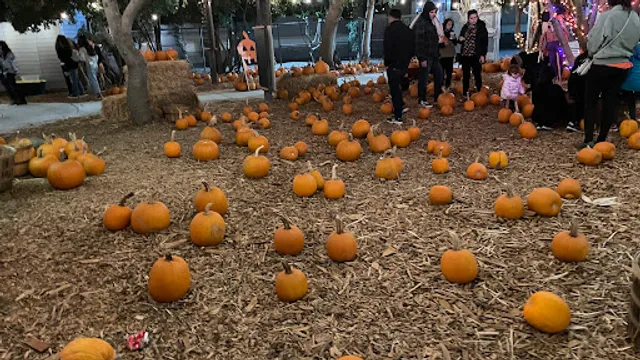 Moreland pumpkin patch
