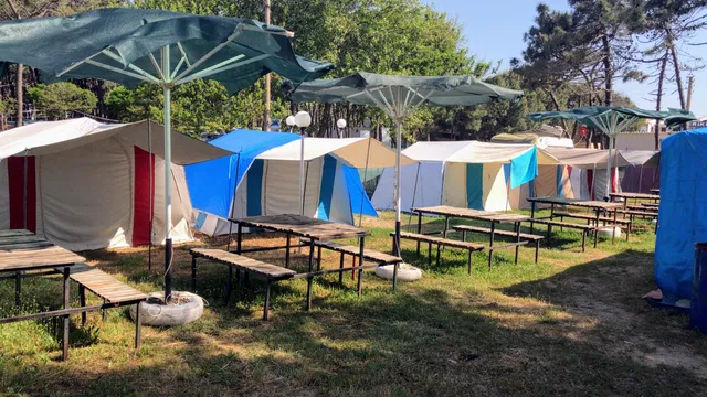 Erikli Camping - Erikli Kamp Alanı
