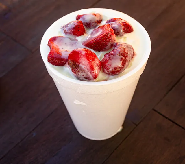 Michelotes universidad