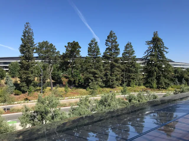 Cupertino
