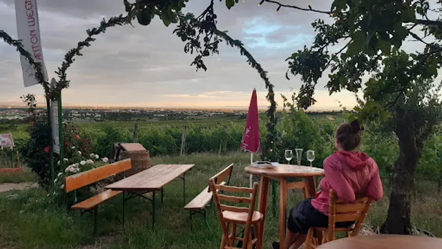 Weingut Anton Luegmayer Pergl ankommen und wohlfühlen