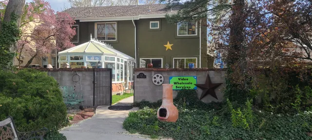 Video Wholesale Services