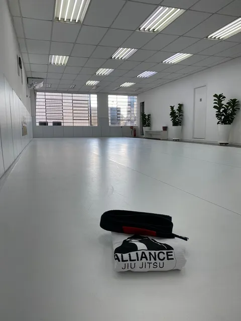 Alliance Vila Mariana