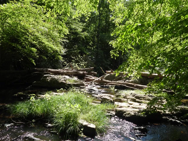 Cascades falls trail