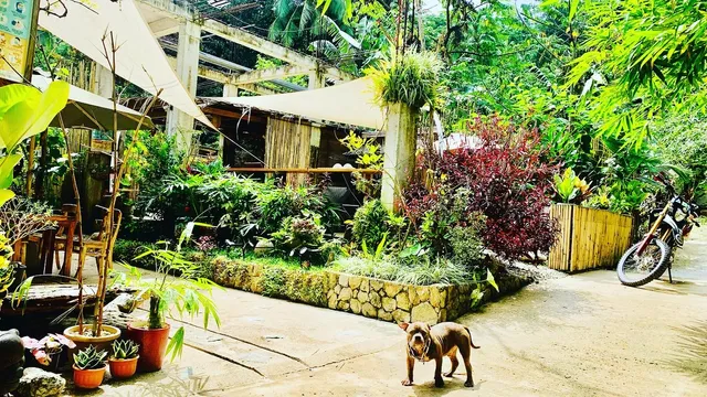 HIDDEN OF CAILAN INN