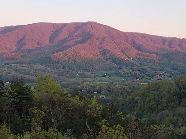 Kickin' Back Jack Cabin