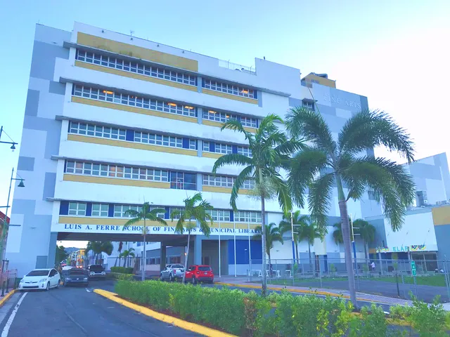 Escuela de Bellas Artes Luis A. Ferré de Guaynabo (Luis A. Ferré School of Fine Arts)