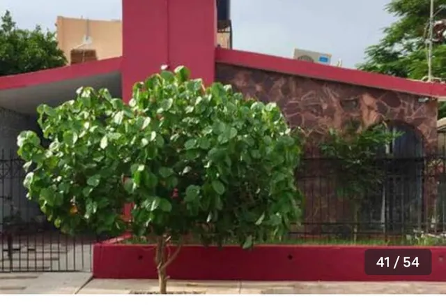 Departamentos Colibrí