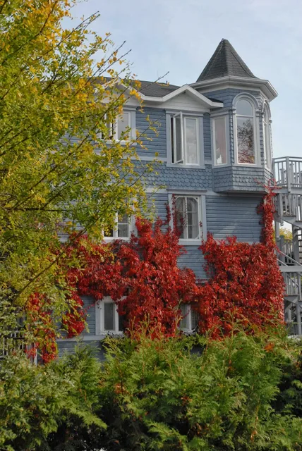 À La Chouette Maison