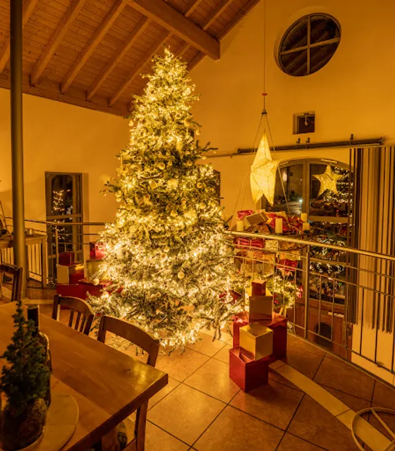 HOLZ-WEISBRODT ARTRIUM