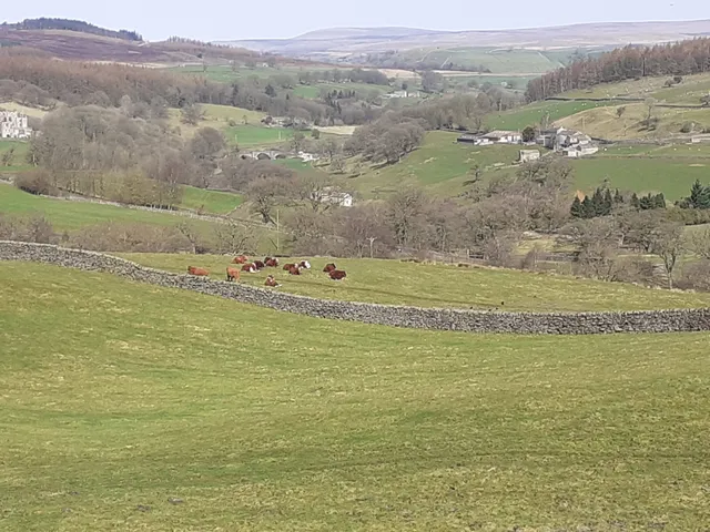 Yorkshire Dales National Park Authority