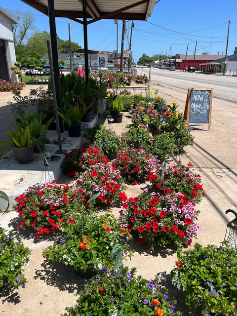 Homegrown Farm and Garden