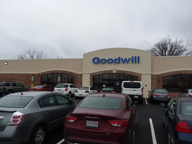 Goodwill